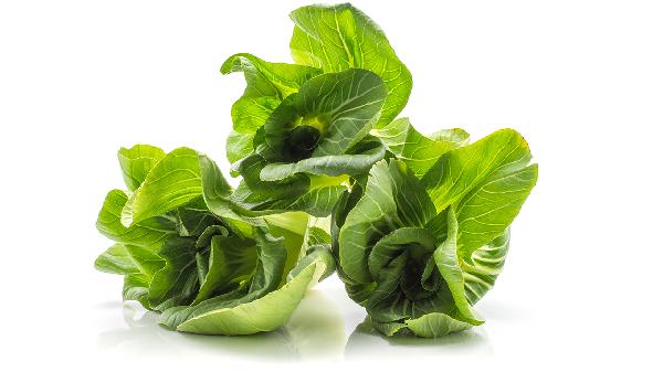 新鲜蔬菜怎么保存更持久