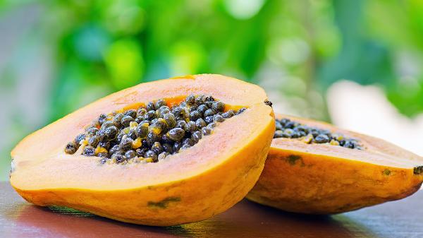 木瓜炖牛奶可以下奶吗