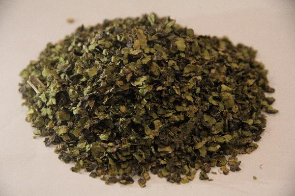 中医治疗慢性脂溢性脱发