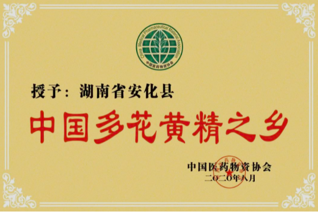 安化县为什么是“中国多花黄精之乡”?