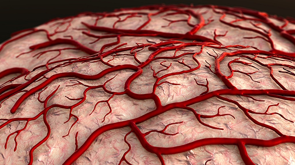 提醒血管开始硬化的第一信号，散步时就知道？很多人都没有在意