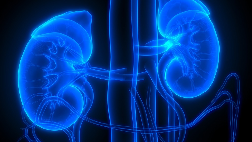 尿毒症是“拖”出来的？提醒身上出现3个信号，或是肾脏在呼救