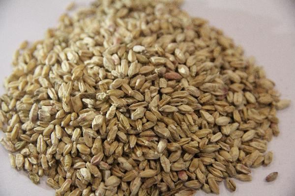 中医湿热症状怎么治疗