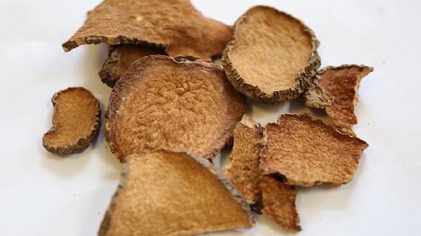 中药里炙龟板有什么作用