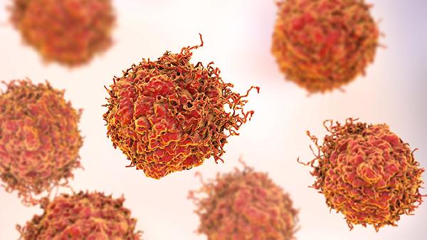 耐药是指病毒耐药还是身体耐药