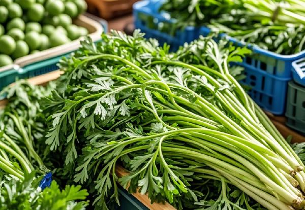 53岁女子坚持炒茼蒿吃，2年后去体检，她的身体指标咋样了