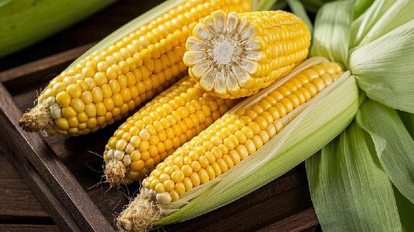 58岁大哥家里发霉玉米不舍得扔，3个月后确诊肝癌，到底怎么回事