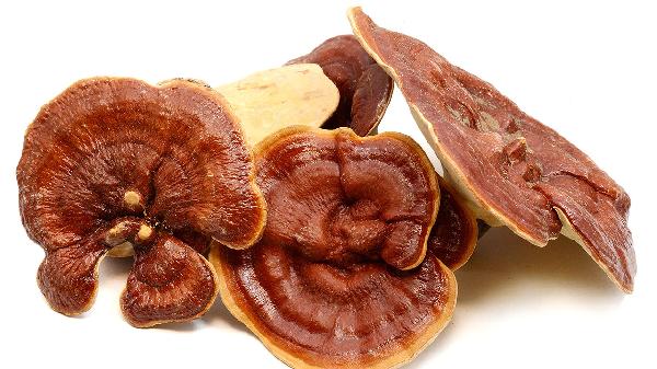 复方灵芝颗粒是治疗什么的