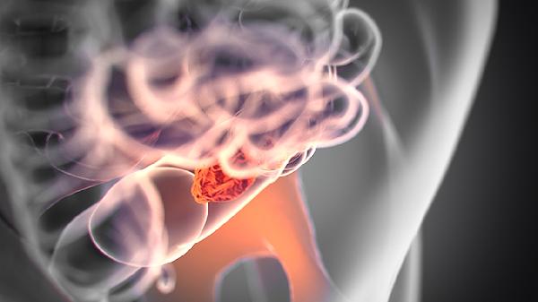 固肠止泻丸注意事项有哪些