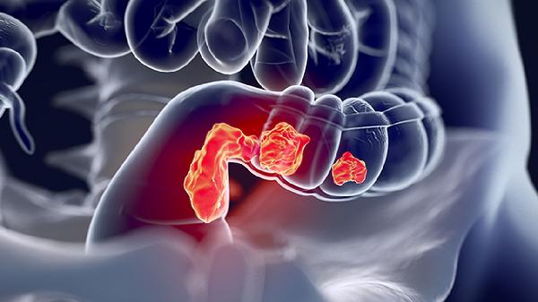 蚓激酶肠溶片效果怎么样