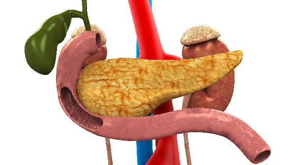 龙胆泻肝丸的成分有哪些