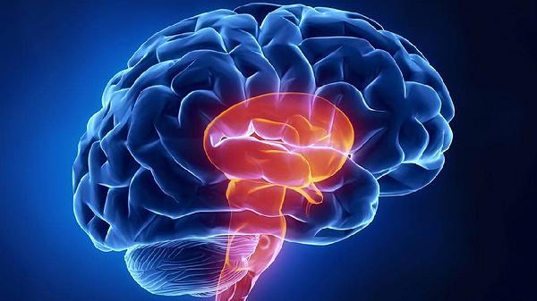 清脑降压片主治什么疾病