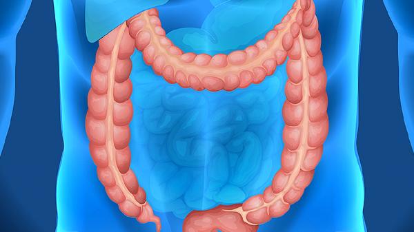 润肠通秘茶的成分有哪些