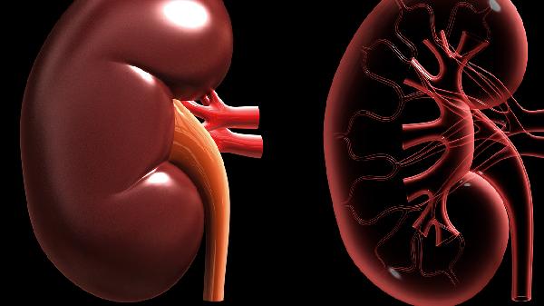 养血补肾丸作用和适用人群