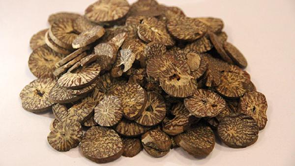 木香槟榔丸适应人群有哪些