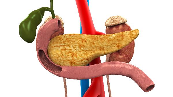 清胰利胆颗粒适用人群有哪些