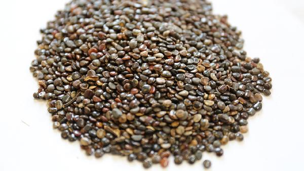 克洛己新干混悬剂是中药还是西药