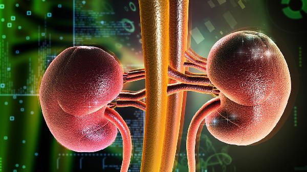 补肾助阳丸作用和适用人群