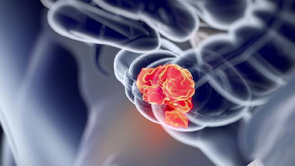 补脾益肠丸注意事项有哪些