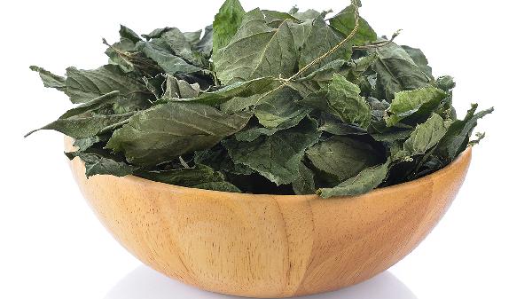 绞股蓝总甙片治疗什么病