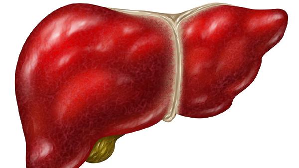 益肝灵滴丸主要治什么病