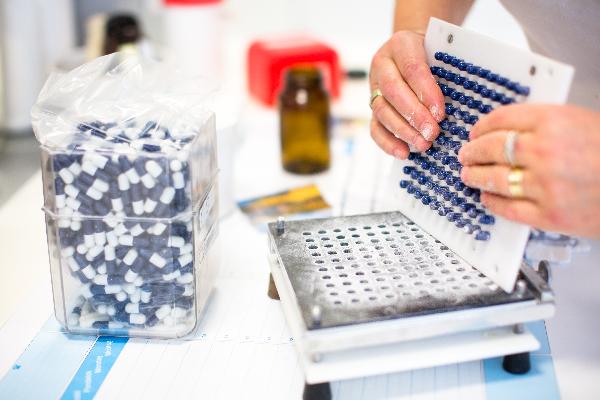 脑安胶囊的功效有哪些