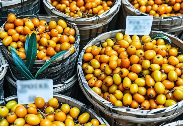 沙棘颗粒的功效是什么