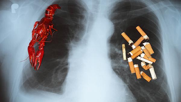 清肺化痰丸的功效有哪些