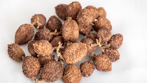 砂仁驱风油的禁忌是什么