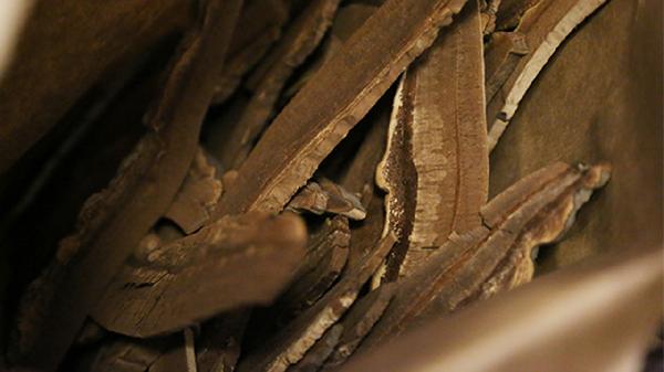 珍珠灵芝片主治什么疾病