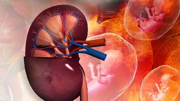 益智温肾十味丸的功效有哪些