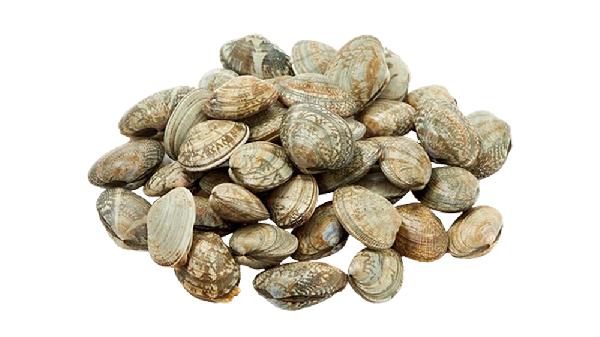 花甲怎么吐沙更彻底