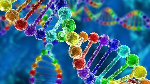 染色体检查主要是查什么