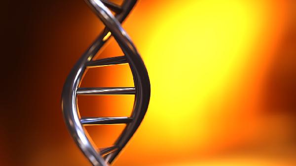 什么是无创胎儿染色体检测