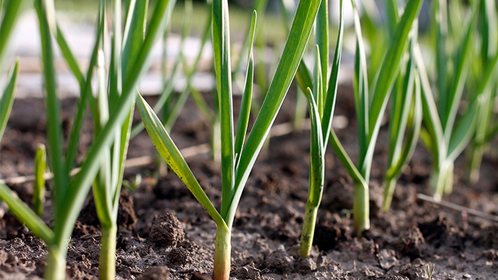 蒜苗是血糖杀手？医生多次提醒：高血糖患者，少吃这4种蔬菜