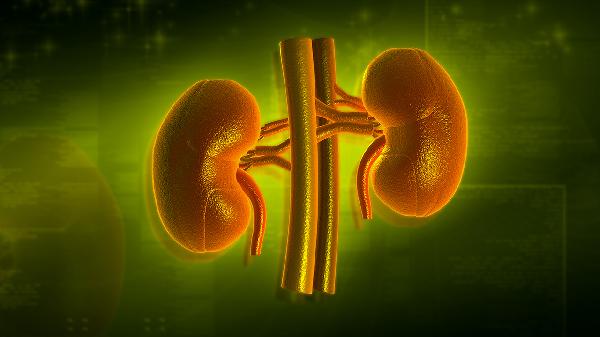 肾越补越虚?肾虚分7种,乱补更伤肾!查收“对症调养”全指南!