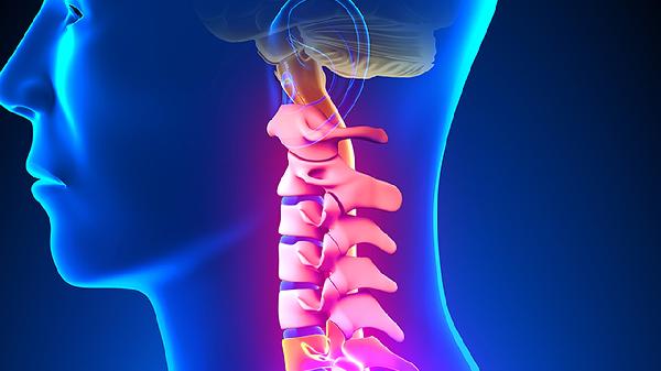 脊椎凸起是怎么回事