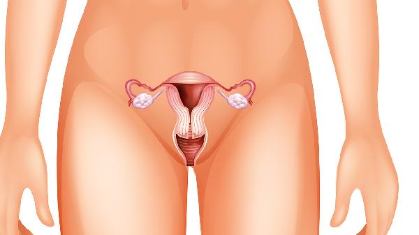 宫颈口长尖锐湿疣