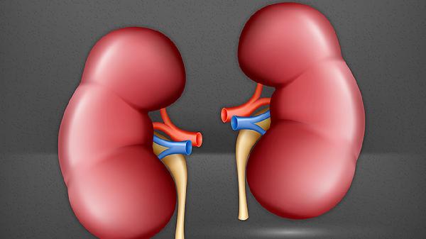 治疗高血压肾病中医方法