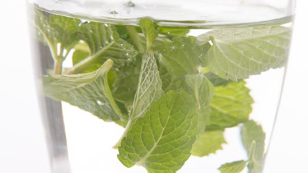 薄荷叶怎么吃减肥