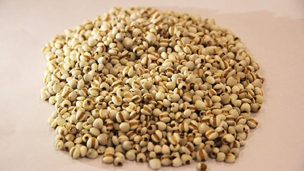 薏米柠檬茶能帮助减肥吗