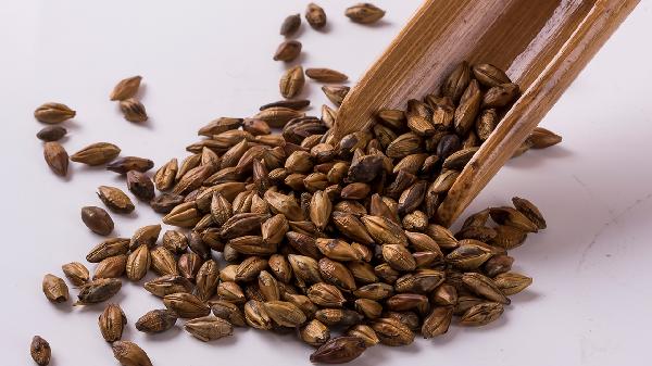 减肥期间是否适合饮用大麦茶