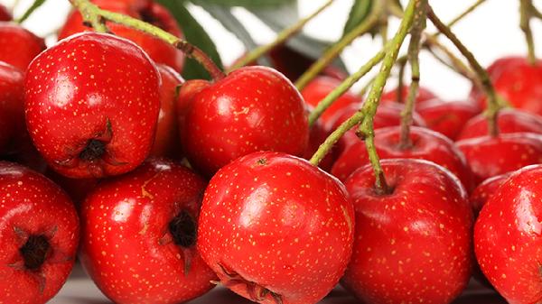 吃山楂可以减肥吗