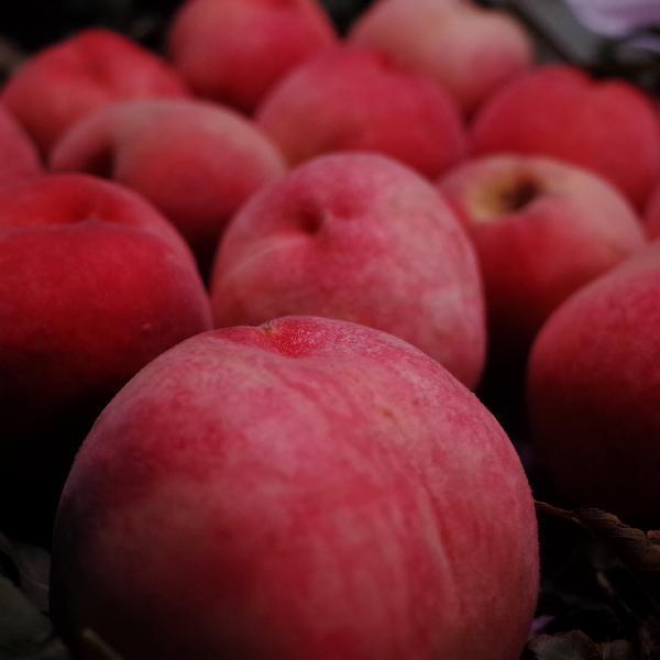 桃子的功效作用与营养价值