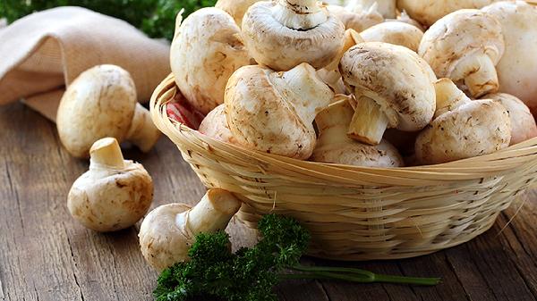 哪些是壮阳的食物