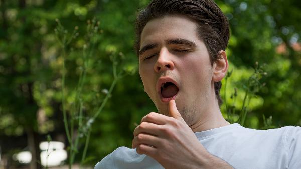 总爱打哈欠是怎么回事