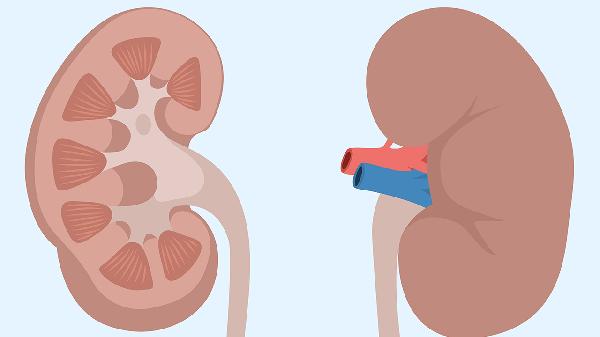 肾炎性紫癜有前兆吗