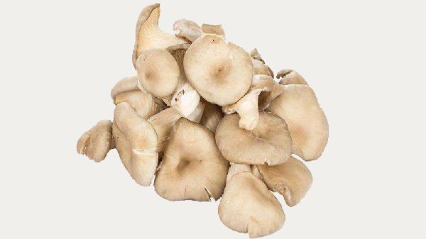 路边的蘑菇别乱吃，这些美味背后隐藏着巨大的风险