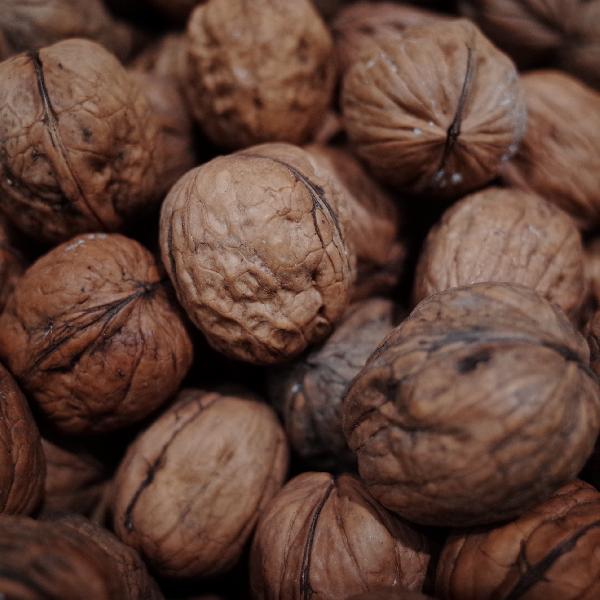 核桃能补脑是真的吗？核桃那么油，会不会堵血管？真相来了！