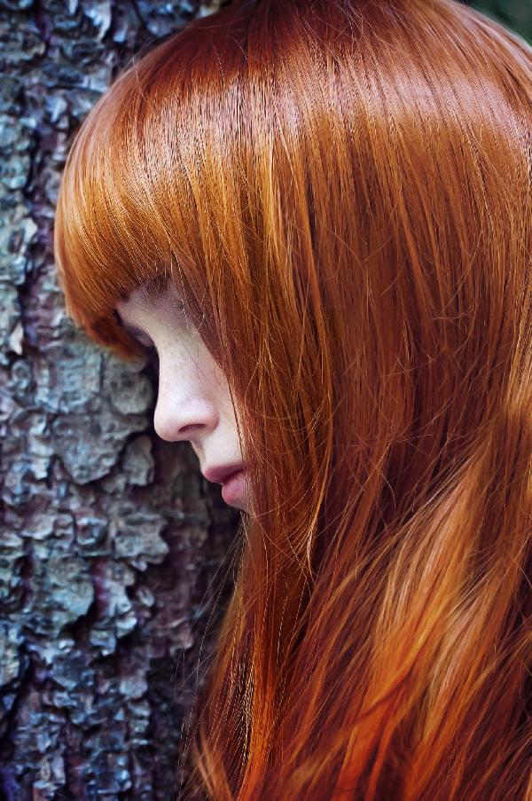 植一根头发多少钱